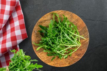 rucola