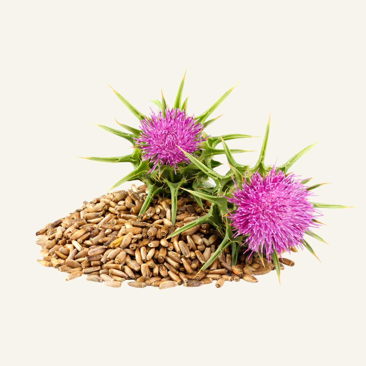 MAARIANOHDAKE SIEMENET 70 g
