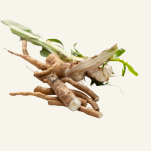 SIKURIJUURI – kuivattu yrtti 120 g
