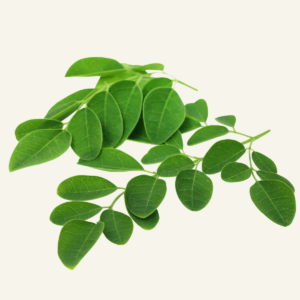 MORINGA 20 g