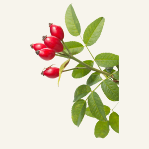 Ruusunmarja 40g