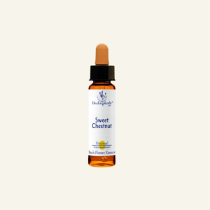 Healing Herbs Sweet Chestnut 10 ml – Bach-kukkatippa nro 30